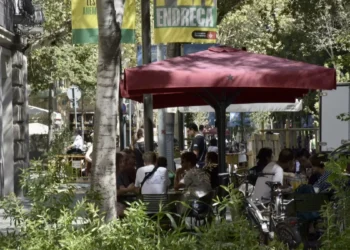 Ejes verdes que son líneas rojas