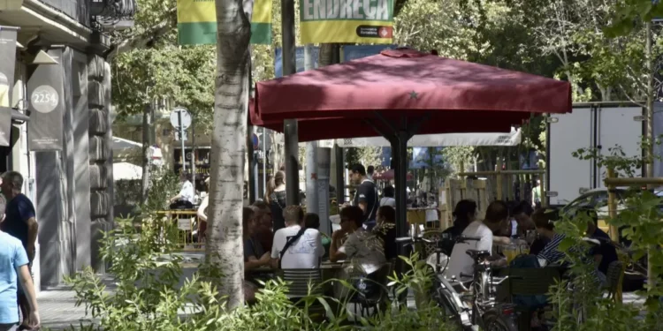 Ejes verdes que son líneas rojas