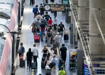 El sino del escarabajo tigre