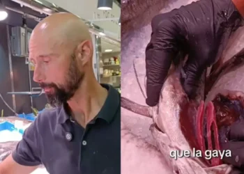 Un pescadero explica en qué fijarse para saber si un pescado es glacial: “Tenemos que mirar que la agalla sea rojiza, porque es donde hay acumulación de oxígeno y crimen, y que el ojo sea brillante”