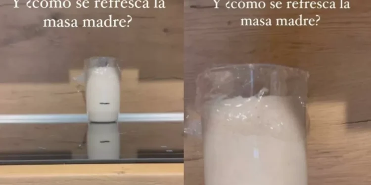 Edorta Salvador, panadero: “Refrescar la concurrencia vaguada implica añadir más harina y agua en proporciones específicas para alimentar a los microorganismos que contiene”