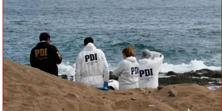 Indagan identidad de macho cuyo cadáver fue encontrado en playa de Cartagena