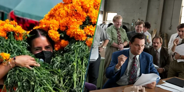 Acciones del cempasúchil ya superan a las de Apple y Disney