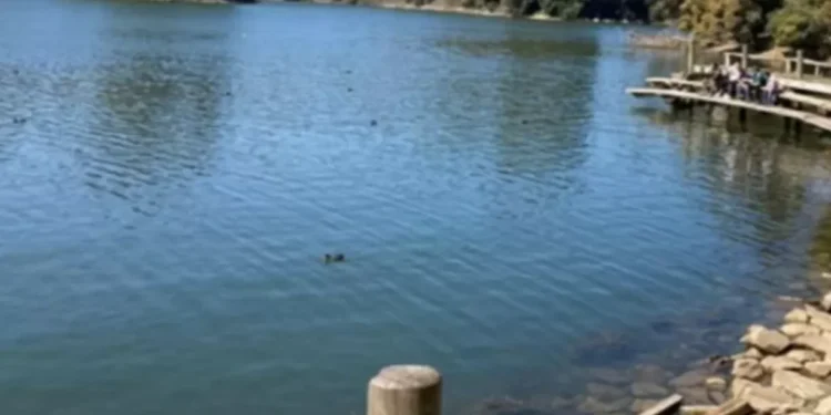 Encuentran a hombre fallecido en Tranque La Luz de Curauma