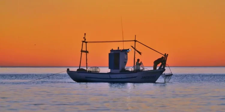 El ritual de la pesca en el Mediterráneo