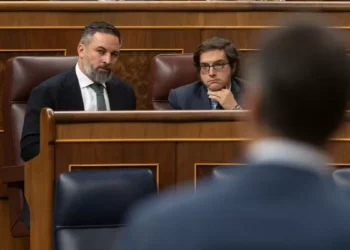 El auge de Vox en el 20-N