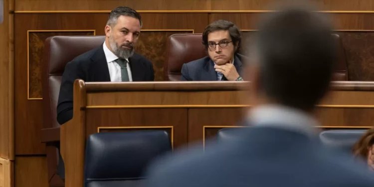 El auge de Vox en el 20-N