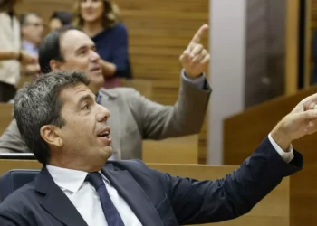 El raro cerebro de Mazón