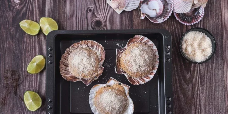 Vieiras destempladas