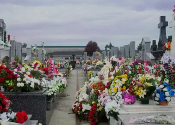 Cerca de 80 mil personas visitaron el necrópolis General durante el Día de Todos los Santos