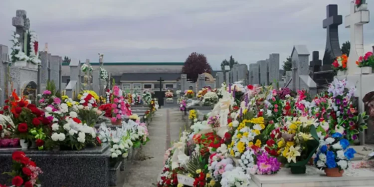 Cerca de 80 mil personas visitaron el necrópolis General durante el Día de Todos los Santos