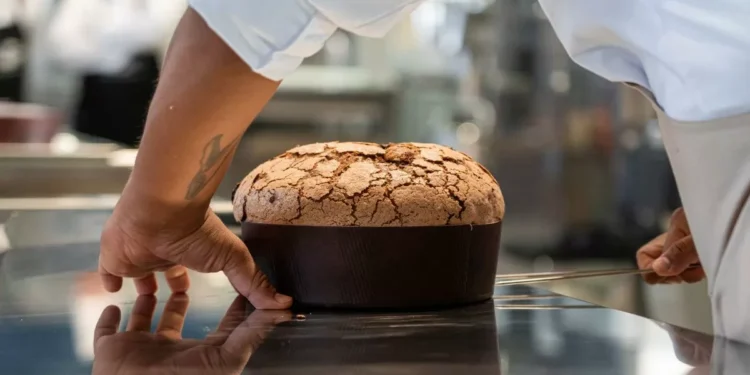 Y el panettone seguía allí