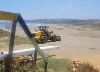 Denuncian ingreso de maquinaria pesada por humedal de Concón causando daño a nidales del borde