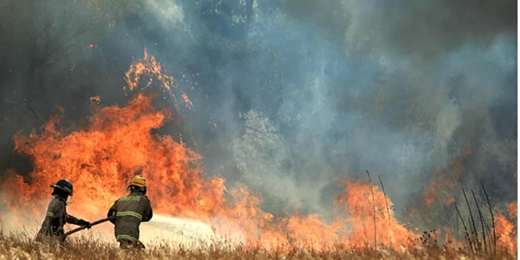 Alerta Roja por incendio forestal en Melipilla obliga a evacuar borde Culiprán