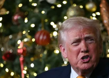 La gasolina que mueve el mundo