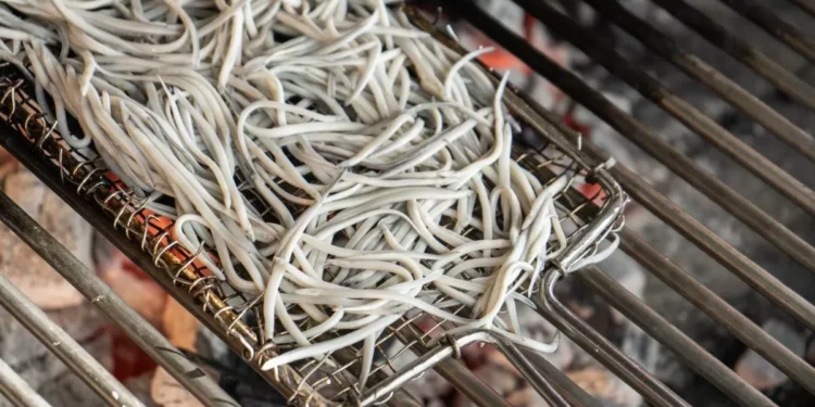 “Si mañana nos dicen que hay que interrumpir diez o veinte años, paramos”: la bifurcación de los cocineros frente a la escasísima angula