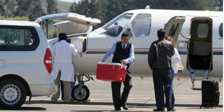 Minsal instruye sumario por caso de órgano donado que no llegó a paciente por fallo de coordinación