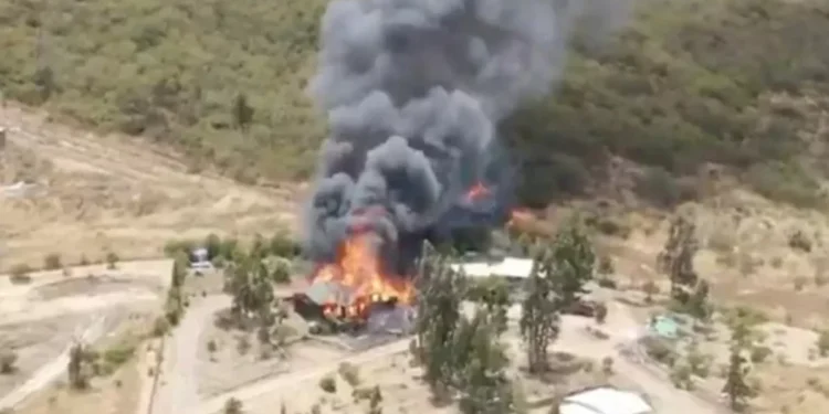 Incendio forestal moviliza amplio despliegue aéreo y terrestre en Zapallar
