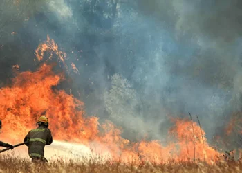 Alerta Roja por incendio forestal en Melipilla obliga a orinar sector Culiprán