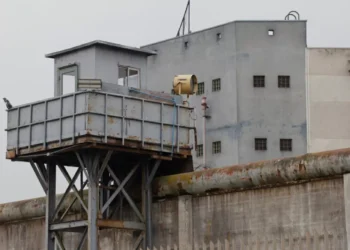 Detectan drogas y teléfonos tras allanamiento de núcleo Penitenciario Femenino de Valparaíso