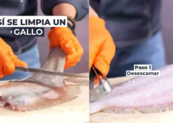 El truco para limpiar el menda según un pescadero: “Saca los filetes siguiendo la espina”