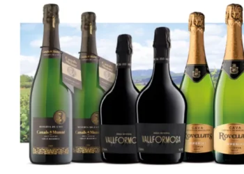 Selección de Grandes Cavas: tres miradas, una misma esencia burbujeante