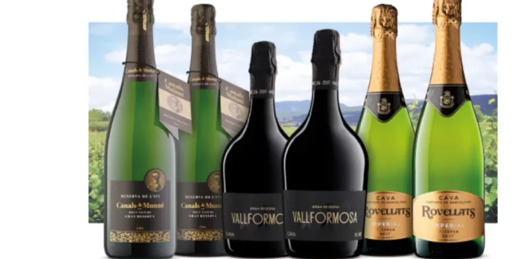 Selección de Grandes Cavas: tres miradas, una misma esencia burbujeante
