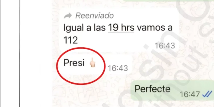 La peineta de Mazón