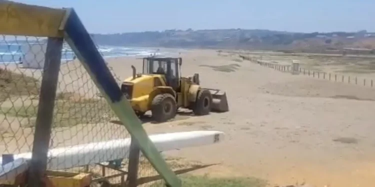 Denuncian inscripción de maquinaria pesada por humedal de Concón causando daño a nidales del sector