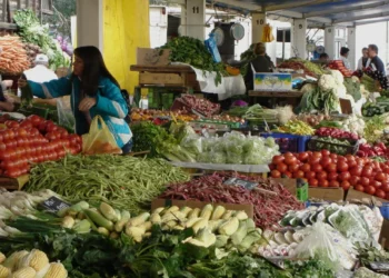 Diputados aprobaron Ley de Fortalecimiento de Ferias Libres