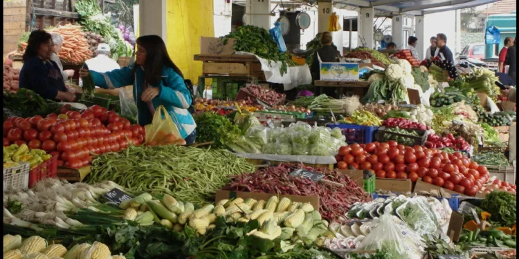 Diputados aprobaron Ley de Fortalecimiento de Ferias Libres