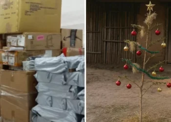 Paqueterías entregan regalos de Navidad justo a tiempo para Reyes… de 2027