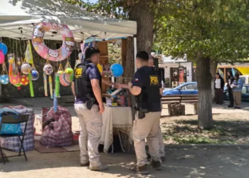 PDI realiza fiscalización masiva de extranjeros en ámbito del Festival del Huaso de Olmué