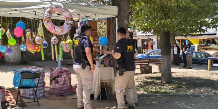PDI realiza fiscalización masiva de extranjeros en ámbito del Festival del Huaso de Olmué