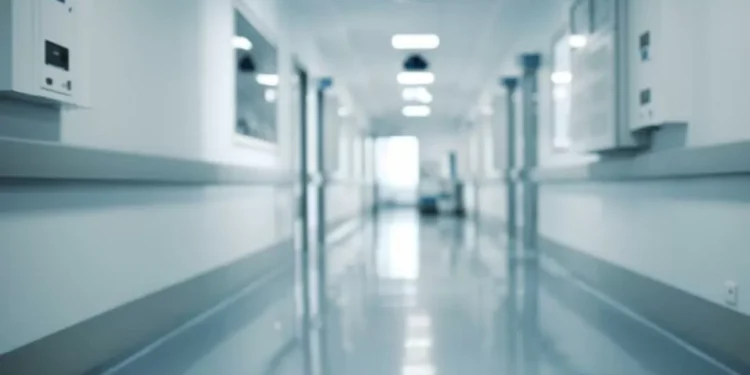 Nadie es más que nadie