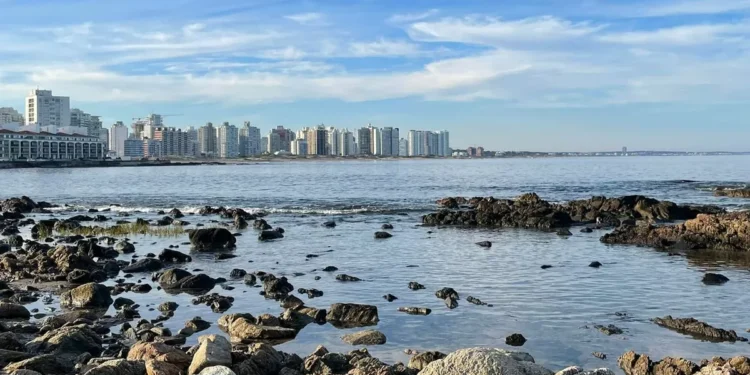 Fin de semana suave en la mañana y caluroso de tarde; mirá el informe de Nubel Cisneros