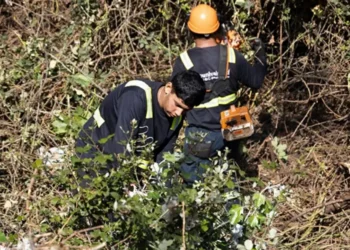 Más de 400 toneladas de maleza han sido retiradas de cerros y quebradas de Valparaíso por el borrador Verano
