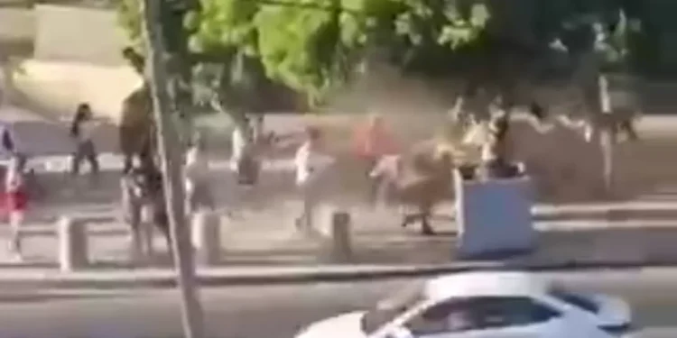 Cinco lesionado deja violenta riña que involucró a turistas en abrigo Abarca de Viña del Mar