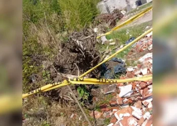 Descartan que restos óseos encontrados en Carmelo sean de una persona detenida desaparecida en autoritarismo