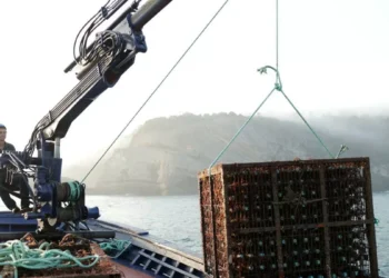 Vinos sumergidos en el cimiento del mar Cantábrico para conseguir el acompañamiento perfecto de las ostras: “Absorbemos la energía marina y antojo para transformarla en una calidad única”