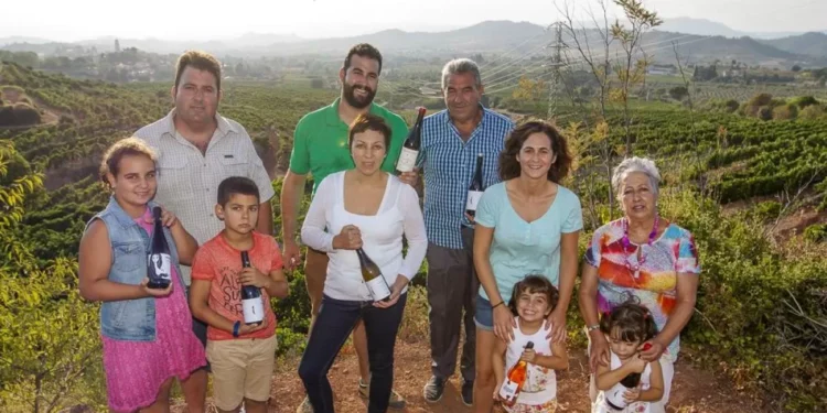 “En los 50, mi abuela enfermó y tuvo que repartir a sus cuatro hijos entre la clan”: la bodega que se gestó durante la pelea sin saberlo y reinventó la viticultura moderna