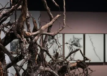 El ritmo de Rodoreda