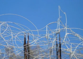 Confusión y autocrítica