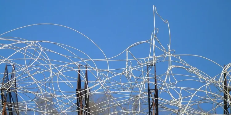 Confusión y autocrítica