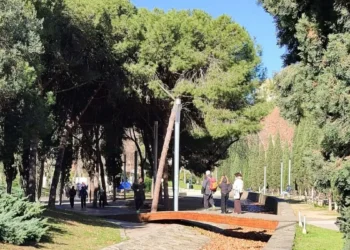 El río de hojas secas de la Vila Olímpica