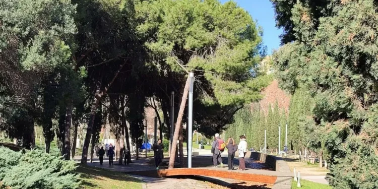 El río de hojas secas de la Vila Olímpica