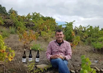 Albert Jané, enólogo y bodeguero: “La Montsant era espina zona algo productiva, el mérito es de los viticultores mayores que han aguantado los viñedos durante años”