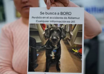 El morro del perro Boro