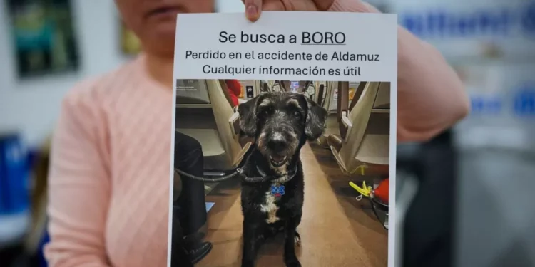 El morro del perro Boro