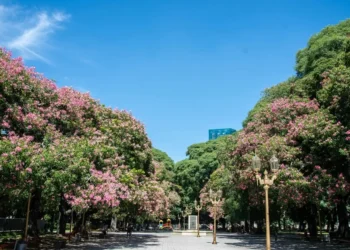Los árboles de flores rosadas y blancas que completan los colores de la villa: cuántos hay y dónde encontrarlos